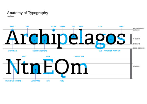 Anatomy of Typography Poster